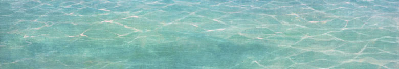 Š|AApnZ󌱁Alɍ킹JLŊwׂSONEpw@