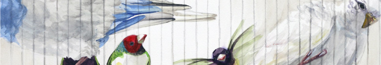 全国の芸大、美大、美術系高校受験、個人に合わせたカリキュラムで学べるSONE美術学院 夏季講習会風景