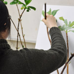 美術予備校 教室風景