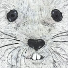 甲南女子高校卒